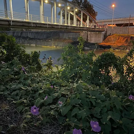 Lägenhet Valencia Sol De Naranja *