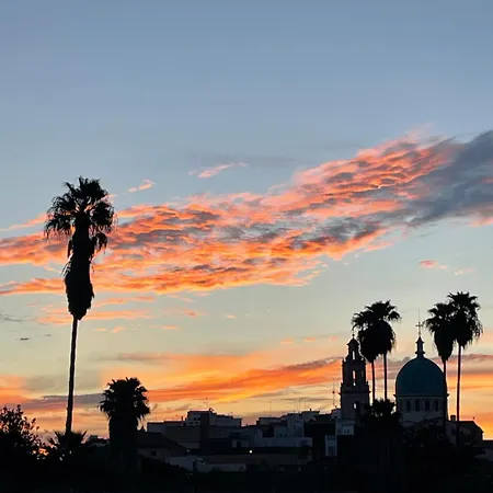 Valencia Sol De Naranja