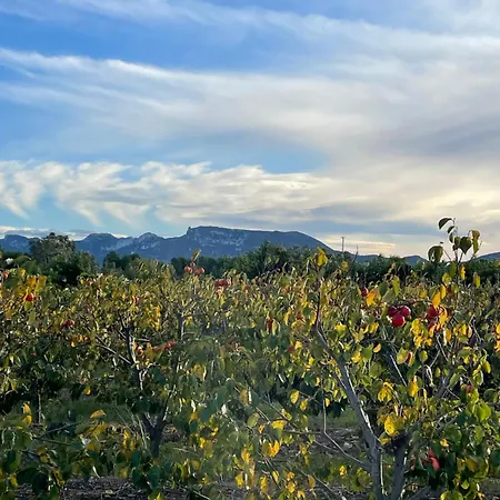 Valencia Sol De Naranja *