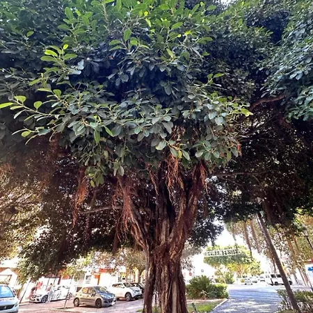 Valencia Sol De Naranja Apartmán Sueca